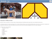 Tablet Screenshot of holzbildhauermeister.at